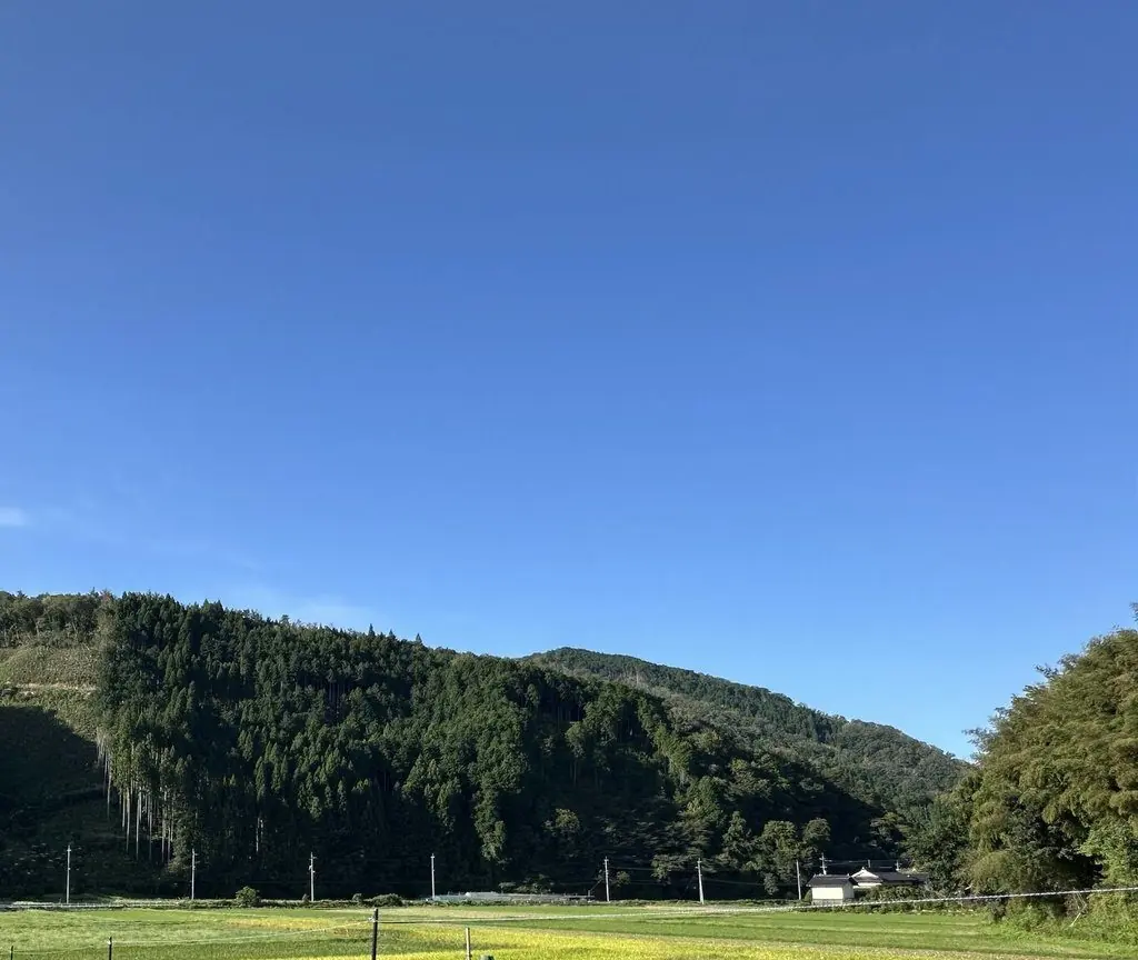 秋晴れの空の下、山に囲まれた余野の谷と田んぼ