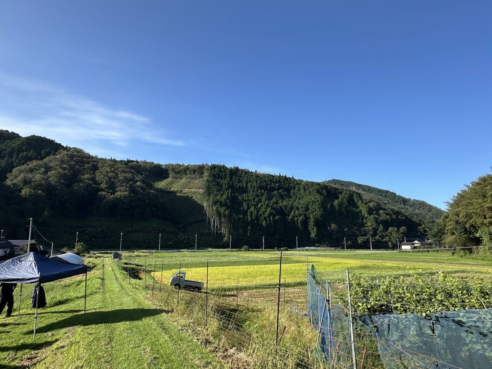 秋晴れの余野の谷と田んぼ