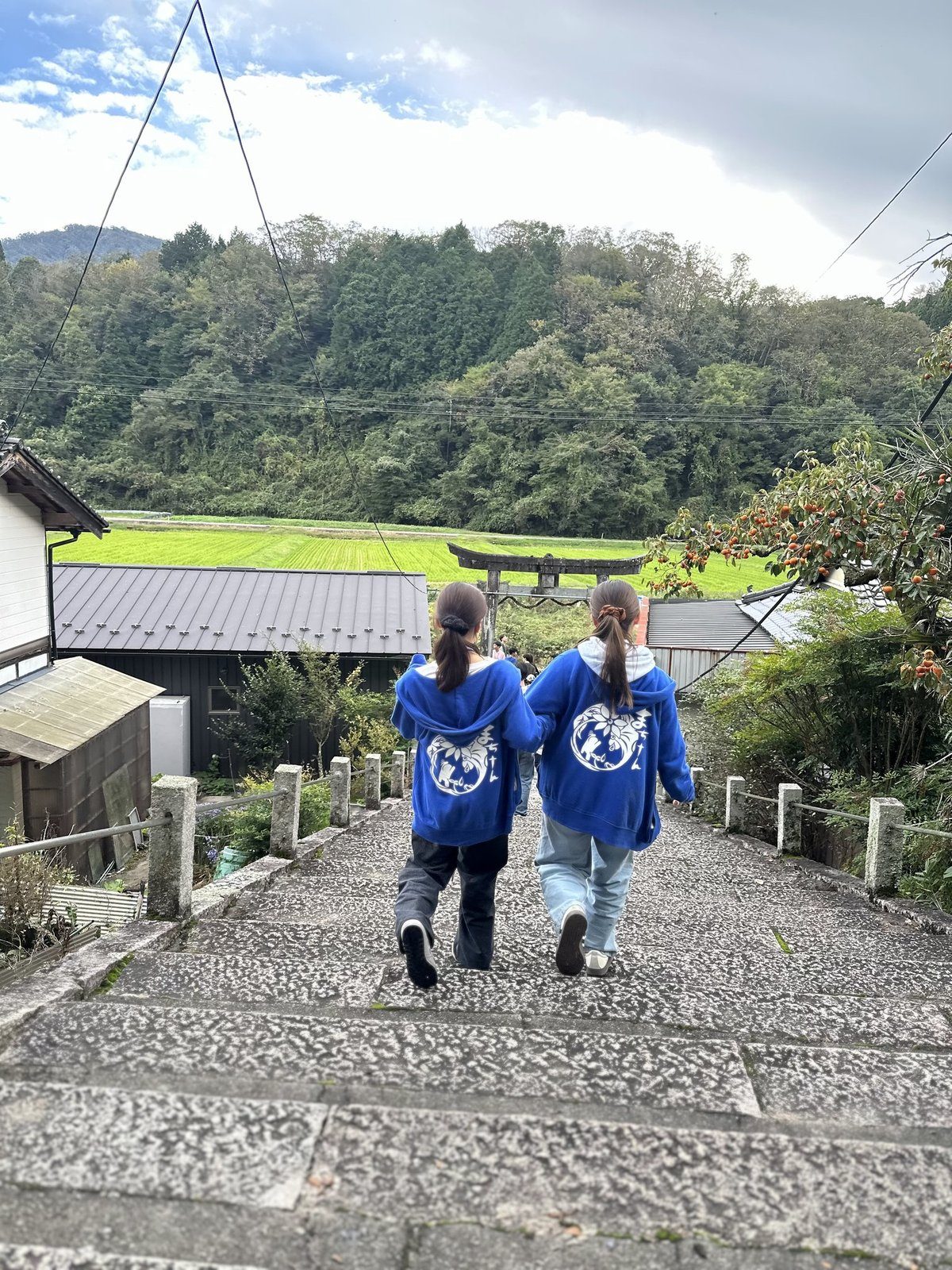 神社の石段から見下ろす谷