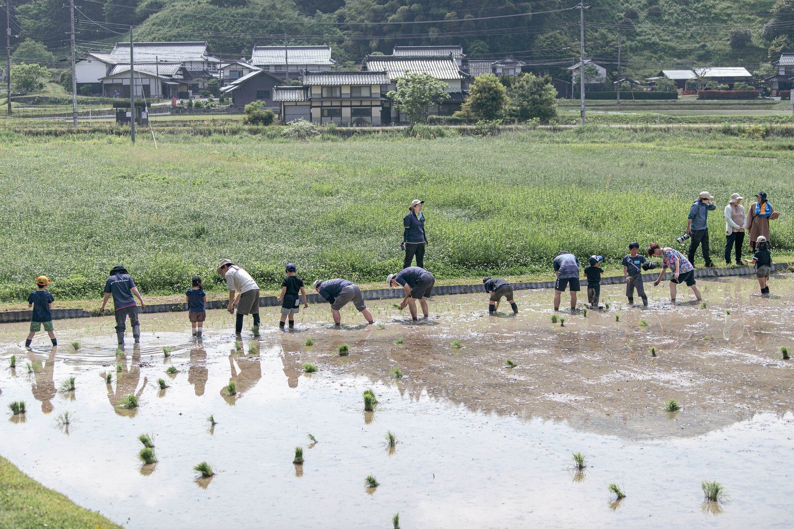 田植えの季節の余野下の集落