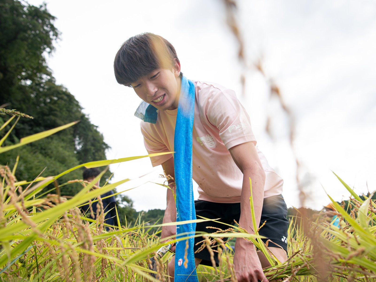 実った稲を鎌で刈りながら笑う若者